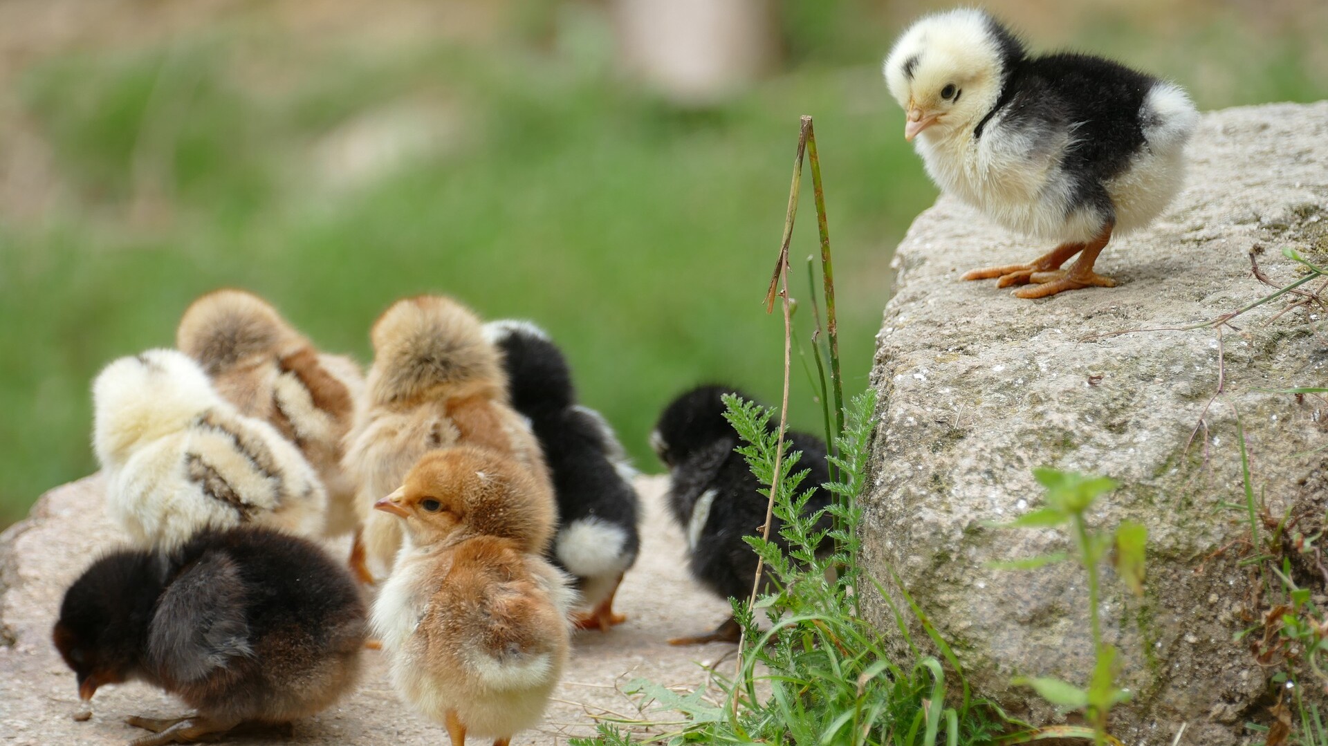 Azubi-Seminar: Einstieg in die Ausbildung