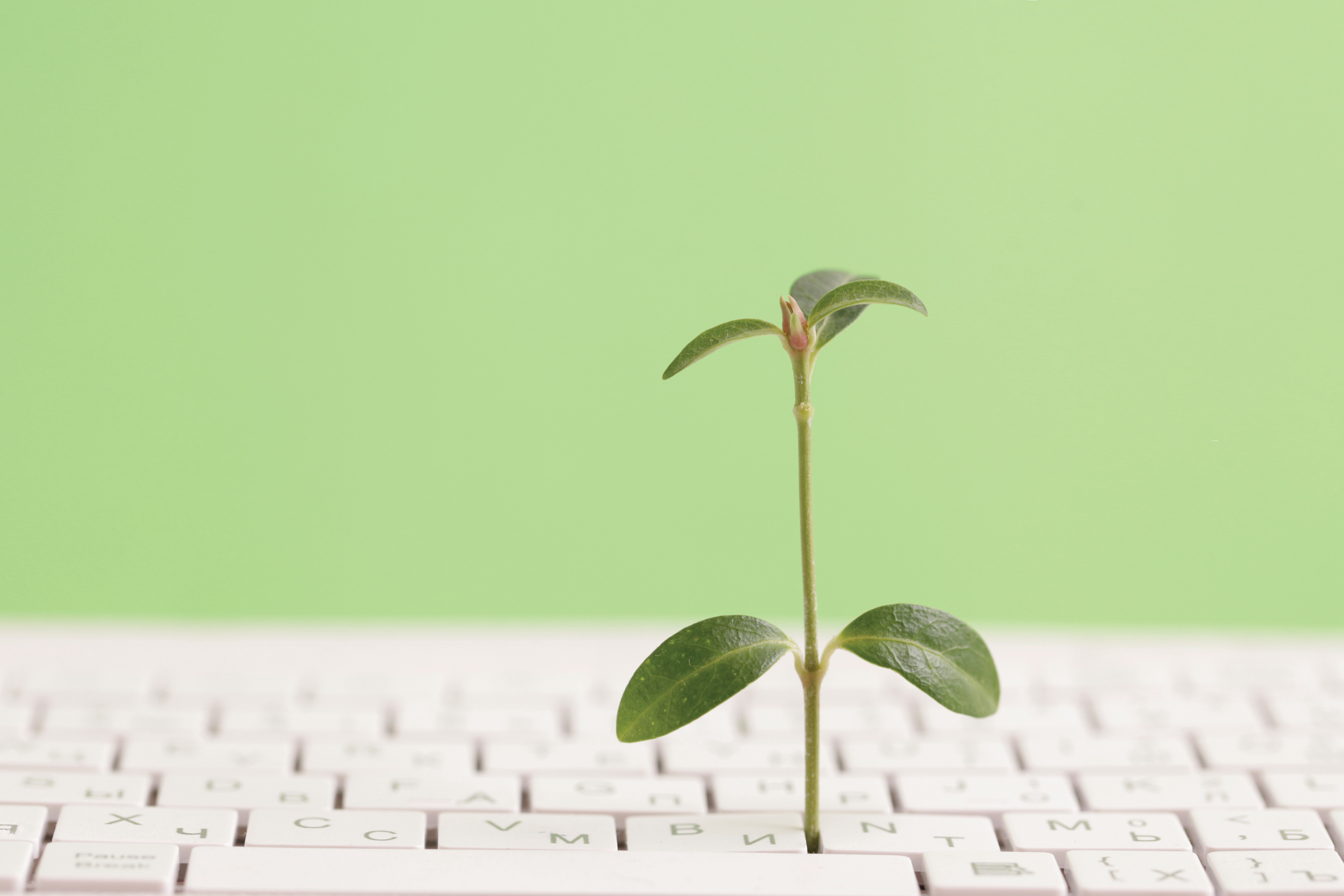 Inhouse-Seminar: Gut abschneiden beim Nachhaltigkeits-Rating