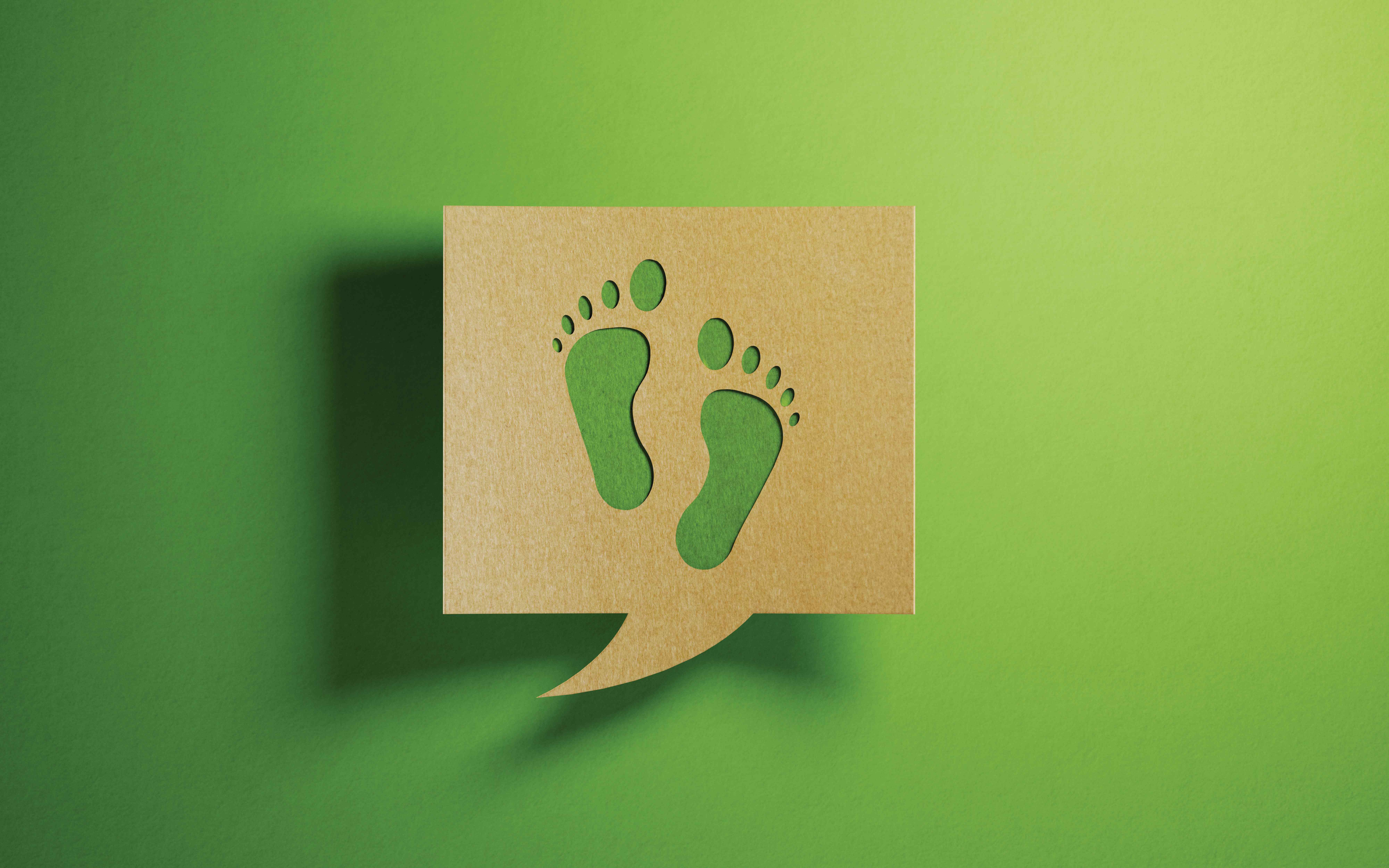 CO2-Bilanzierung und Product Carbon Footprint